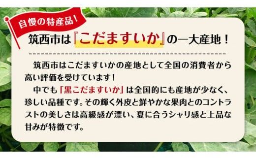 【 JA北つくば 】 黒こだますいか 「 誘惑のひとみ 」 2玉 2026年産 スイカ 果物 フルーツ 小玉スイカ 小玉 西瓜 くだもの デザート 茨城 [AE017ci]