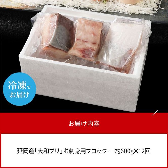 【大和海商】大和ブリの切り身　12ヵ月定期便 N072-YG0184