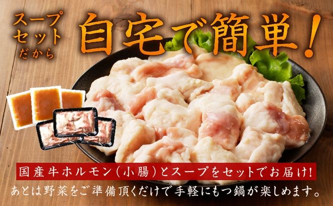 099Z420 【定期便】牛もつ鍋セット 9人前 全3回【毎月配送コース 国産 牛肉 ホルモン 塩こうじ スープ付き モツ 鍋 高評価 冷凍 鍋セット 簡単調理】