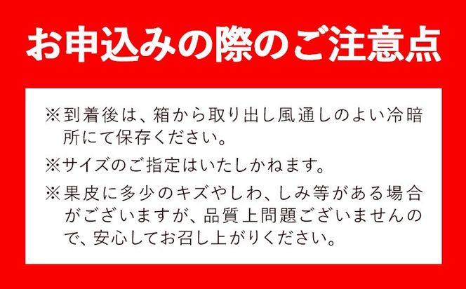 とにかくジューシー 清見 オレンジ 約2.5kg 約5kg 株式会社魚鶴商店《2027年3月下旬-5月上旬頃出荷》和歌山県 日高川町 柑橘 果物 フルーツ 清見オレンジ---wshg_uot227_3g5j_26_10000_2500g---