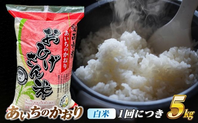 【6回定期便】あいちのかおり 白米 5kg×6か月 / 脇野コンバイン[AECP005]