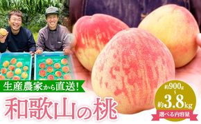 和歌山県産の桃 選べる内容量 約900g (3玉入り) 約1.8kg (5～8玉入り) 約3.8kg (10～18玉入り) GREEN JUNCTION株式会社《2025年6月中旬-2025年8月末頃出荷》和歌山県 紀の川市 桃 果物 果実 フルーツ 自然栽培 送料無料---wsk_cgjt3_6c8m_24_8000_3t---