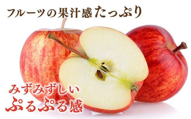 【りんご】たらみ おいしい蒟蒻ゼリー   150g (1箱6個入り) 糸島市 / たらみ [ALN008-6]