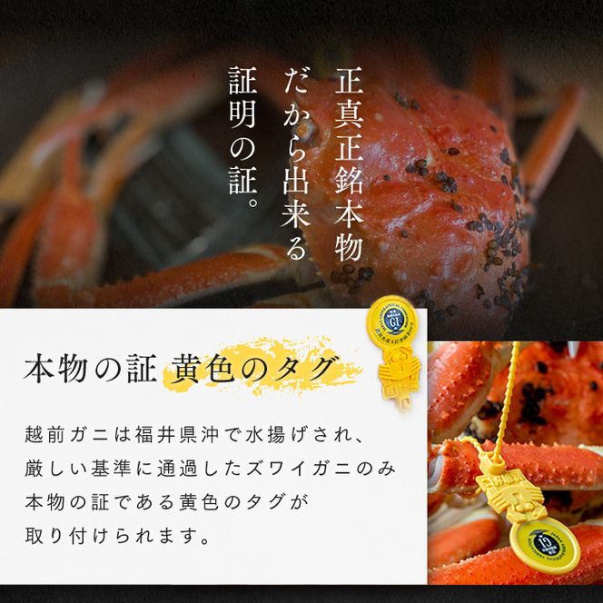 期間限定 茹で 越前ガニ 約1.4kg以上 1杯 食通もうなる本場の味をぜひ、ご堪能ください カニ 蟹 かに 茹でカニ 越前蟹 カニセット 魚介 魚介類 海鮮 海鮮セット 福井 福井県 若狭町