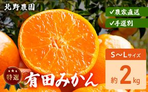 DZ6234_【2026年先行予約】特選 有田みかん 和歌山 S～Lサイズ 大きさお任せ 約2kg