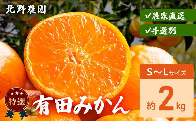 DZ6234_【2026年先行予約】特選 有田みかん 和歌山 S～Lサイズ 大きさお任せ 約2kg