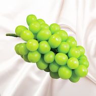 豊岡ぶどう シャインマスカット 約2kg / 豊岡ブドウ 産地直送 糖度が高い 濃厚 甘味 上品な香り 歯切れの良い 皮ごと 食べられる 減農薬 シャイン マスカット ぶどう ブドウ 葡萄 果物 くだもの フルーツ ふくい農園