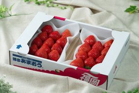 福岡産【冬】あまおうDX(デラックス)2パック【南国フルーツ株式会社】_HA1911