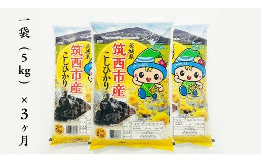 【 定期便 3ヶ月】 茨城県筑西市産 コシヒカリ5kg 三ツ星 マイスター 米 コメ こしひかり 定期便3回 15kg 茨城県 単一米 精米 新生活 応援 [CH005ci]