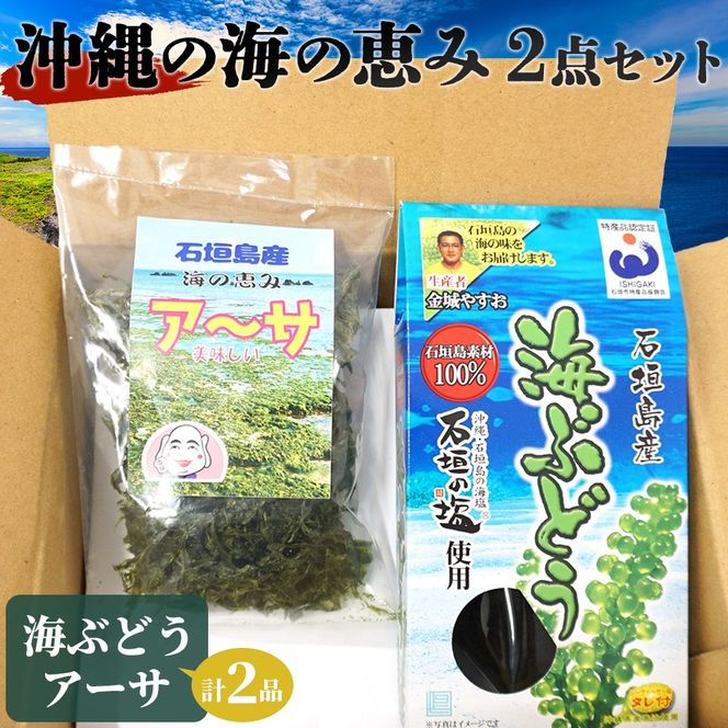 沖縄の海の恵み 海ぶどう＆アーサ CK-09