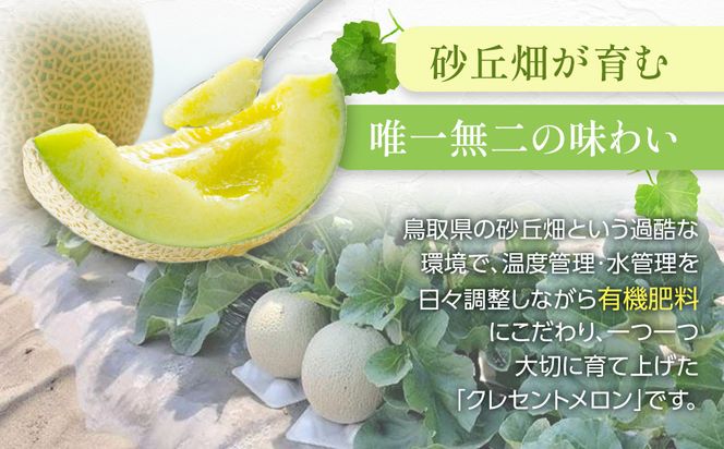 783.【先行予約】青肉メロンの新星「クレセントメロン」満足の２玉セット　※2026年７月中旬より順次発送予定 313726_AS009