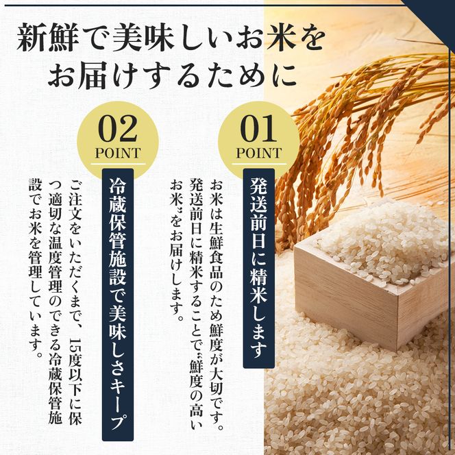 【先行予約】令和8年産 コシヒカリ精米5kg