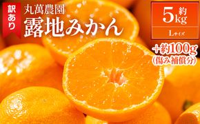 みかん  5kg 【2026年出荷分】露地(Lサイズ) 家庭用 丸萬農園 mn-0015