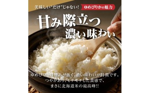 【寄附額改定】《令和8年産先行予約》【9ヵ月定期】滝川産ゆめぴりか無洗米 5kg 定期便 新米 特A 北海道 お米マイスター ブランド米 白米 精米 米 こめ コメ お米 単一米 ご飯 ごはん 生活応援 送料無料 北海道産 道産 おすすめ 人気 限定 贈答 予約