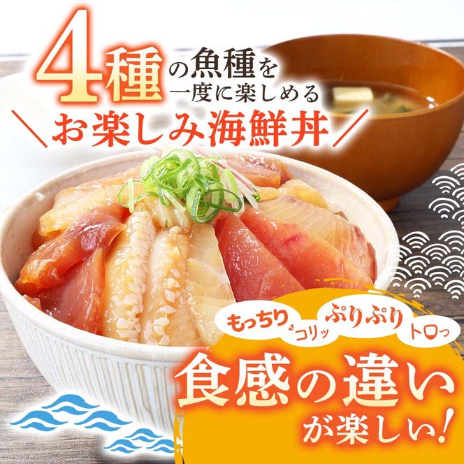 これが魚屋の漬け丼だ！海鮮ミックス80g×10パック 海鮮丼 マグロ 鮪 まぐろ ブリ 鰤 カンパチ タイ 鯛 ハマチ イカ サーモン どんぶり おかず 惣菜 海鮮 魚介類 新鮮 個包装 小分け