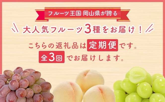【 2026年 先行予約 】ぶどう 桃 ぼっけぇうめぇ フルーツ 定期便 3回 コース -2 ( 白桃 ・ シャインマスカット ・ 紫苑 )《2026年8月-10月出荷》 岡山県産 フルーツ 果物 数量限定 里庄町 