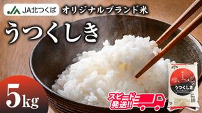 スピード発送!!【 JA 北つくば オリジナル ブランド米 】うつくしき 5kg ( コシヒカリ ) 米 お米 コメ 白米 こしひかり 茨城県 精米 新生活 応援 スピード配送 [AE001ci]