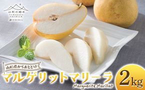 FYN6-446 【山形の極み】 贈答用 山形県産 西洋梨 マルゲリットマリーラ 2kg(4～6玉) 2026年9月下旬から順次発送 西洋なし 洋なし 秋果実 果物 くだもの フルーツ 化粧箱 ギフト箱 贈答 贈り物 ギフト プレゼント 自宅 家庭 山形県 西川町 月山