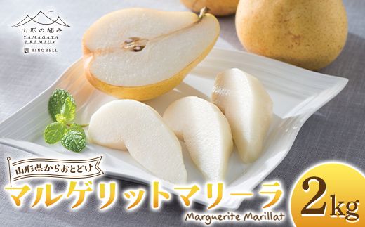 FYN6-446 【山形の極み】 贈答用 山形県産 西洋梨 マルゲリットマリーラ 2kg(4～6玉) 2026年9月下旬から順次発送 西洋なし 洋なし 秋果実 果物 くだもの フルーツ 化粧箱 ギフト箱 贈答 贈り物 ギフト プレゼント 自宅 家庭 山形県 西川町 月山