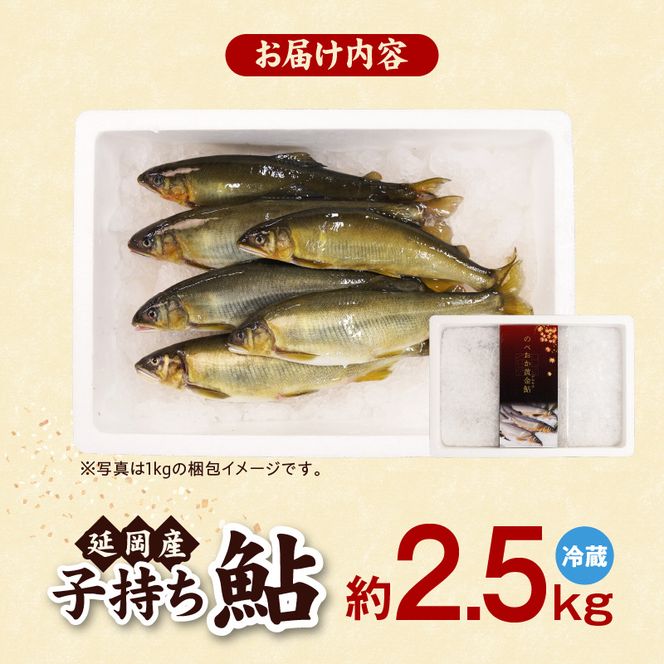 【先行予約】2026年10月下旬より発送開始【冷蔵】子持ち鮎約2.5kg N070-YC425-1