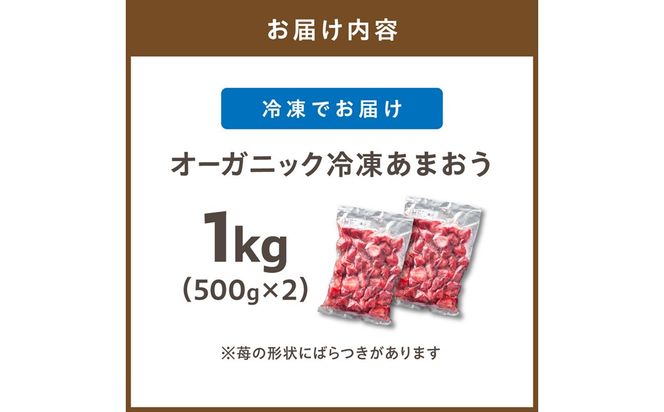 オーガニック冷凍あまおう 「いせいちご」 1kg (500g×2パック)【伊世いちご畑】_HA1315