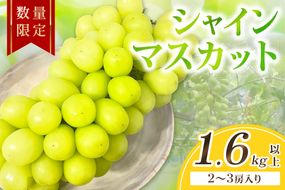 【先行予約／数量限定100】シャインマスカット 1.6kg以上（2～3房入り）（2026年9月上旬～発送）　FK00018