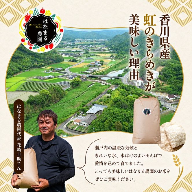 にじのきらめき 虹のきらめき 玄米 30kg 30キロ 令和8年 香川県産 国産 米 お米 国産米 香川県産米 大粒 もっちり 粘り おにぎり ご飯 ごはん はなまる農園 甘み 香川 香川県 東かがわ市 46312688