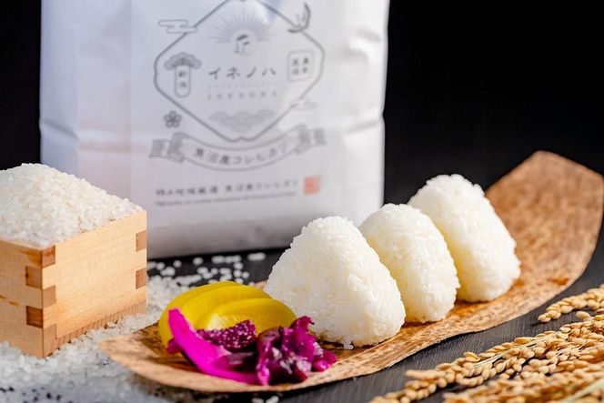 ＜定期便・全6回＞【令和7年産】魚沼産コシヒカリ「イネノハ 」精米(10kg×2)×6回 お米 白米 ご飯 産地直送 ミネラル 栄養分 こだわり 人気 新鮮 