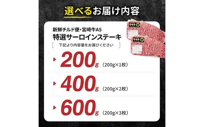 ※グラムが選べる※【A5等級】【新鮮チルド便】宮崎牛特選サーロインステーキ 【 肉 宮崎 ステーキ 牛肉 おかず A5 】 [B13204 B13205 B13206]