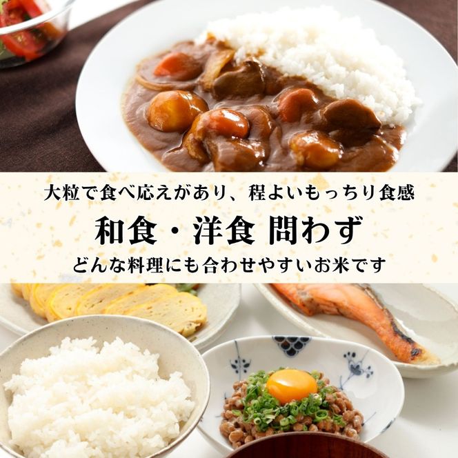 【令和8年新米予約】《定期便》＼ 2026年10月より10回 ／ 10kg×10回 合計 100kg 奥信濃飯山～木内ファームのお米～ つきあかり （Ca-071）