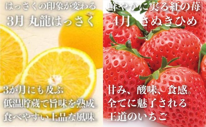 【12回フルーツ定期便】 絶品フルーツの定期便 -旬の果実便り- 12ヶ月 讃州丸亀 定期便 フルーツ セット 詰め合わせ 小原紅早生みかん いちご キウイ はっさく デコポン びわ 桃 シャインマスカット みかん ゴールドキウイ さぬきひめ 旬の果物 くだもの 12回 1年 お楽しみ 香川県 丸亀市