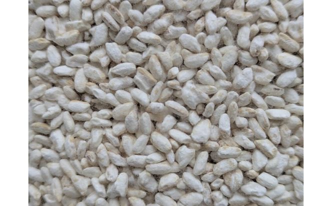 玄米乾燥麹 500g ふるさと納税 玄米 米麹 米 麹 発酵食品　HD00022