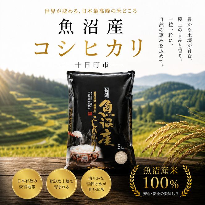 【令和7年産】【食味鑑定士厳選】日本棚田百選のお米　天空の里 魚沼産 こしひかり 5kg