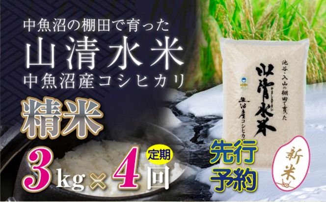 【令和8年産 先行予約】【定期便／全4回】精米3kg 新潟県魚沼産コシヒカリ「山清水米」 お米