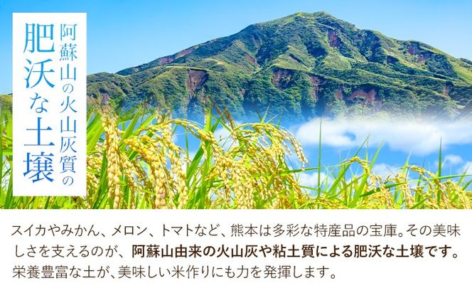 米 もりのくまさん 米 選べる 内容量 計5kg 計10kg 《30日以内に出荷予定(土日祝除く)》 お米 こめ 熊本県産 精米 ブランド米 ご飯---mifune_nsm_4_5m---
