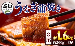 うなぎ 高知県産蒲焼きうなぎ ２００ｇ ８尾 計１６００ｇ fb-0164