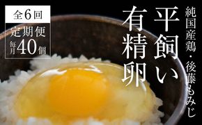 【全6回定期便】平飼い有精卵 40個《西粟倉村》【株式会社点々】t-SS-CoDA