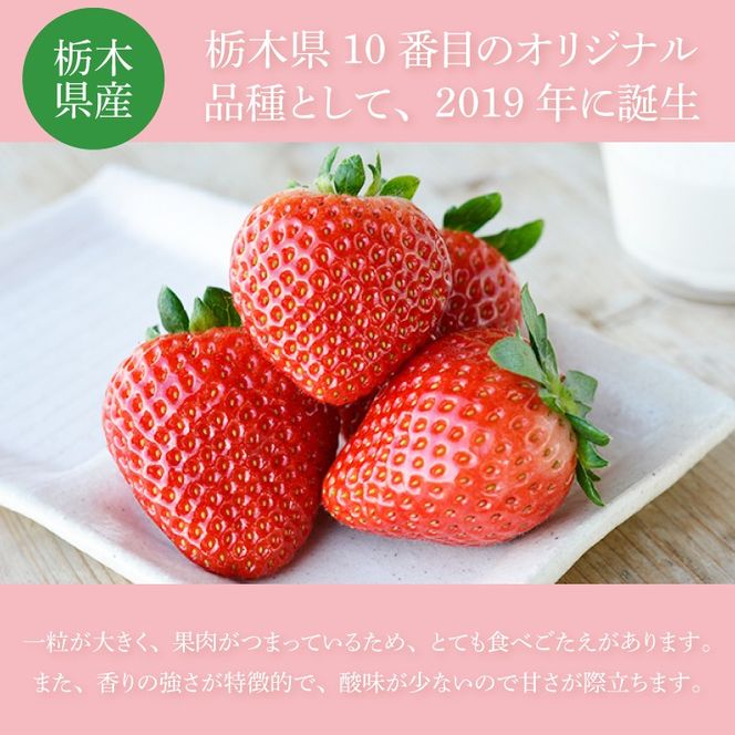 【合計20～40粒入り】いちご とちあいか 600g以上 (300g以上×2パック)｜栃木県 益子町 ふるさと納税 鈴木農園 L 2L 3L ご家庭用 家族用 食べやすい 一口サイズ 粒たっぷり 大満足 いちご イチゴ 苺 果物 フルーツ とちあいか 人気 600g以上 1パックあたり10～20粒入り （DJ003）