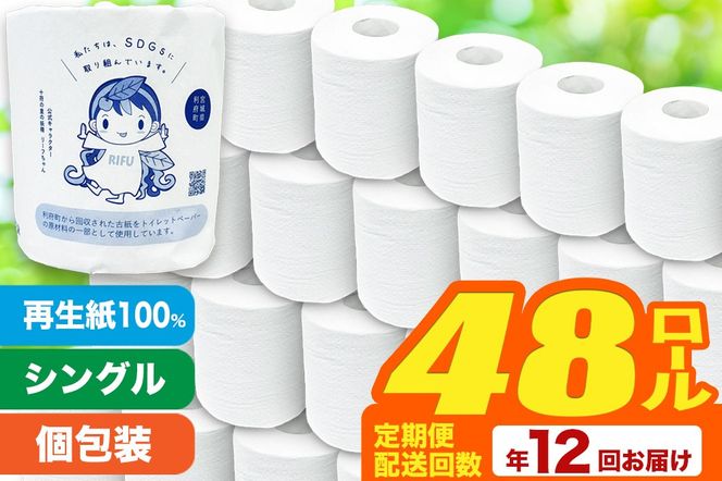 y{錧{zs12ty{IWizgCbgy[p[i[48×12j|06_sik-014812