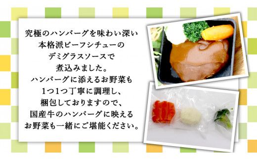 国産牛使用 こだわり 冷凍 ハンバーグ 12個 セット 牛肉 洋食 究極 本格 ビーフシチュー デミグラス レンジ可 惣菜 簡単 時短 [CT011us] レンチン レンジ 