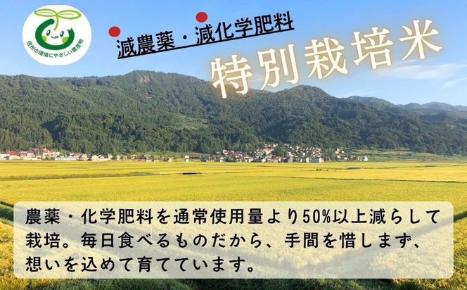 【令和8年新米予約】《定期便》＼ 2026年10月より6回 ／ 特別栽培米 「かまくらの里 コシヒカリ」 5㎏×6回 合計30kg（Cc-005-10）