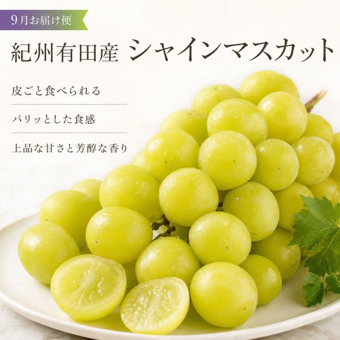 定期便 8・9月発送 紀州有田産旬のフルーツセット（梨×3玉 化粧箱入・シャインマスカット×2房（約1kg〜1.4kg））  	AN070