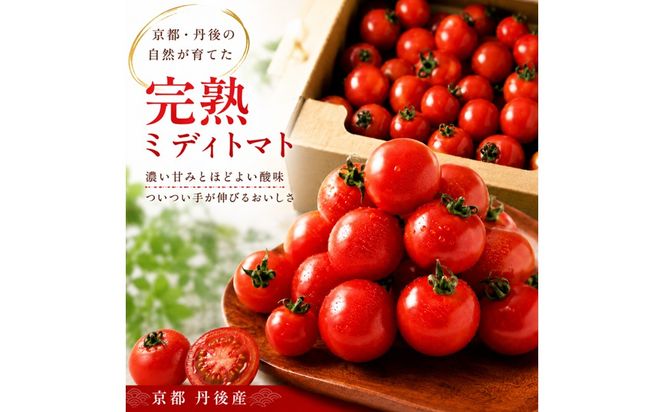 【収穫期限定】京都丹後産　完熟ミディトマト　約1.4kg 京都丹後産 完熟ミディトマト　AM00760