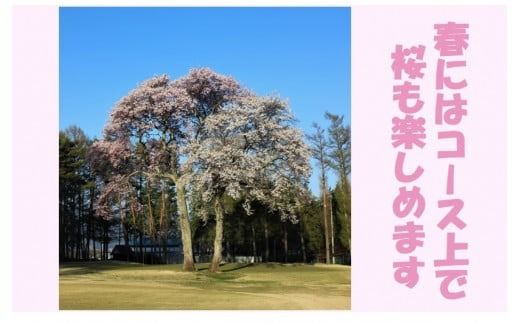 ゴルフ チケット 信州伊那国際ゴルフクラブ ゴルフ場利用補助券 1,000円×9枚 | ゴルフ チケット 補助券 長野 伊那市 信州 長野県 【030-19】