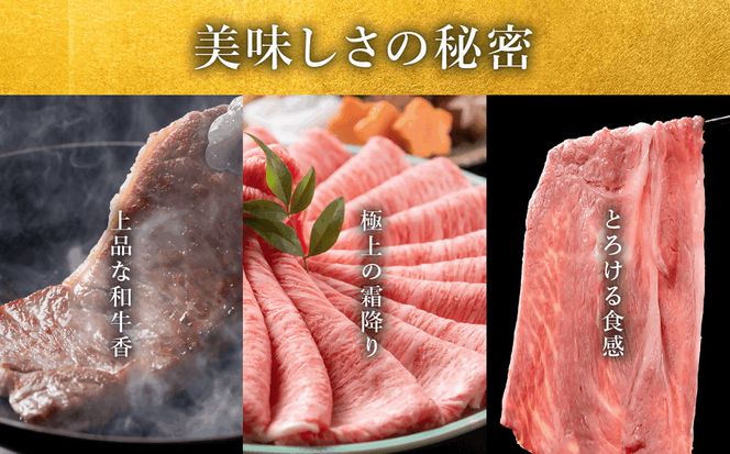 松阪牛切り落とし800g【002456】