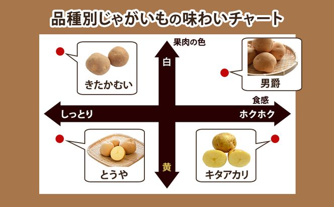 【 2026年 出荷 先行予約 】 北海道 倶知安 産 じゃがいも  男爵  L サイズ 10kg 馬鈴薯 いも 芋 グリーンアースファーム 農家 直送 野菜 産地直送