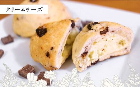 スコーン 食べ比べ 10個 糸島市 / Sweets Cafe egao Itoshima 焼菓子 スイーツ [AAO001] スコーン 食べ比べ 詰め合わせ セット 焼き菓子 お菓子 お茶菓子 スイーツ
