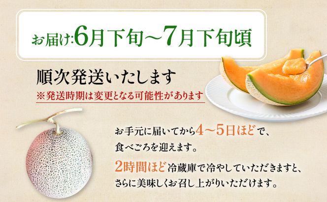 【2026年夏発送】富良野産 ヒグマのおくりもの(メロン)[5玉 計8kg以上] フルーツ 果物
