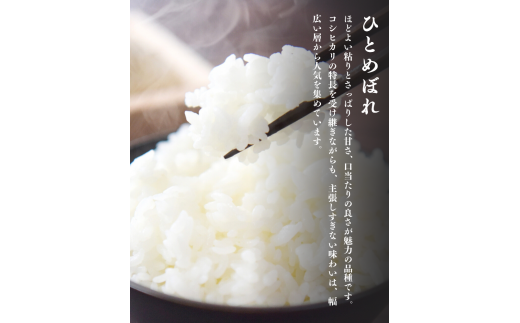 y茧򒬁z_2024LO^yߘa7NxVāzy11{菇z {_ƈY ʍ͔|ĂЂƂ߂ڂ 򒬎Y 2kg _50%팸 ̂ɗD Iĉ y  ЂƂ߂ڂ      k zymih400-hito-2C-7Bz