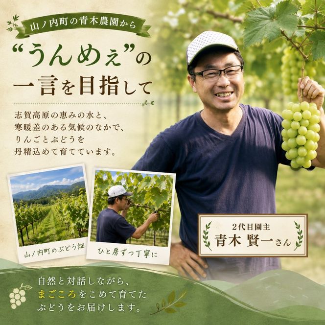 【2026年9月～発送】シャインマスカット約2kg 4～6房 長野県産